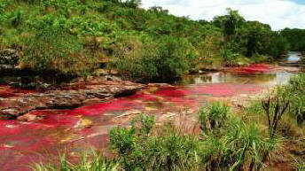 "Liquid Rainbow" lidera a lista dos mais fenômenos naturais incomuns