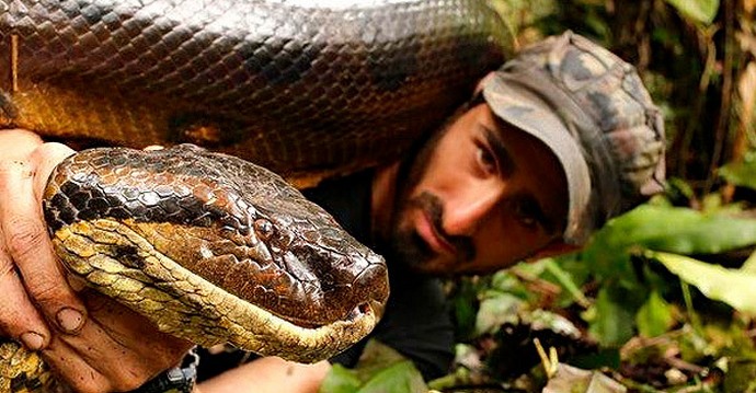 E você queria que a anaconda comesse você?