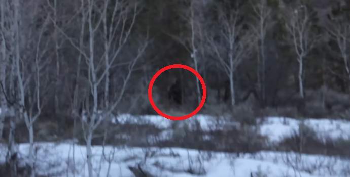 Um americano compartilhou um vídeo de um yeti em um bosque nevado