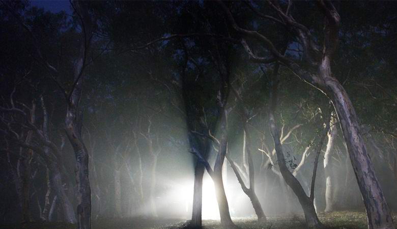 O americano filmou uma luz misteriosa na floresta e pegadas de alienígenas em sua porta