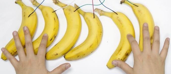 Estudantes americanos fizeram um piano de banana