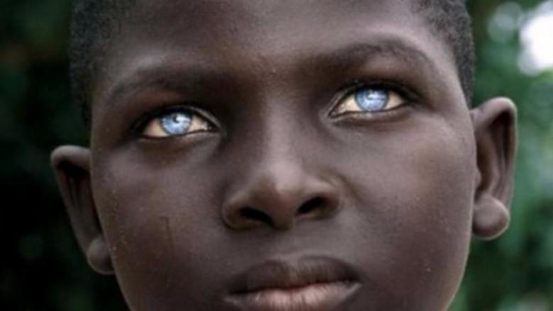 Aborígines australianos refutam idéias anteriores sobre a origem do homem