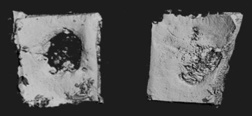 usos potenciais para defeitos dentários de implantes a craniofaciais