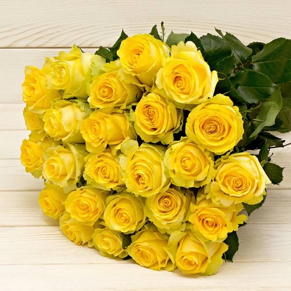 rosas amarelas 