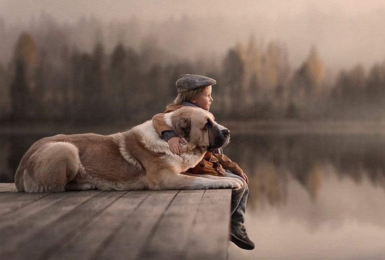 Duas histórias de lealdade a cães