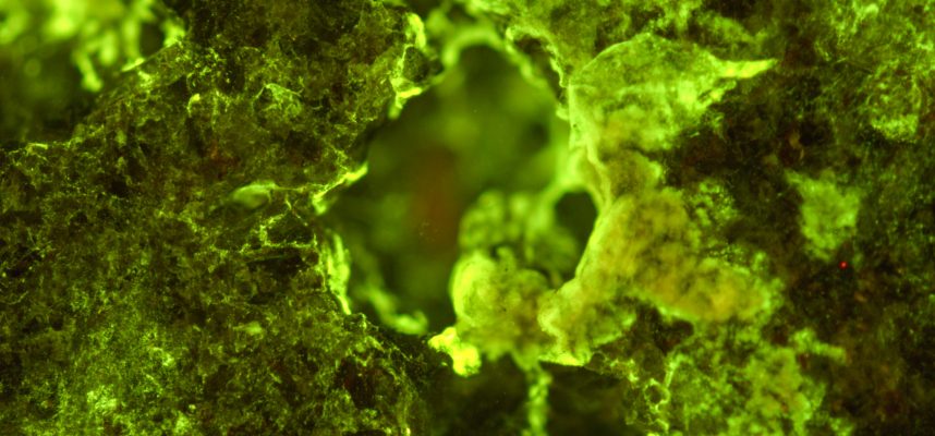 Experiência na ISS mostra como você pode minerar fósseis no espaço com 400% de eficiência 