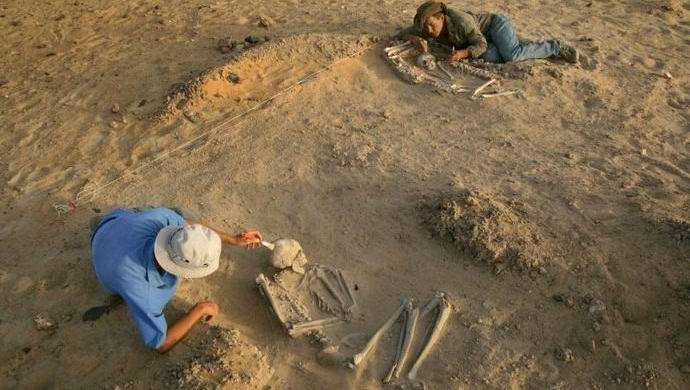 Exame na Alemanha revelará o segredo de enormes esqueletos equatorianos