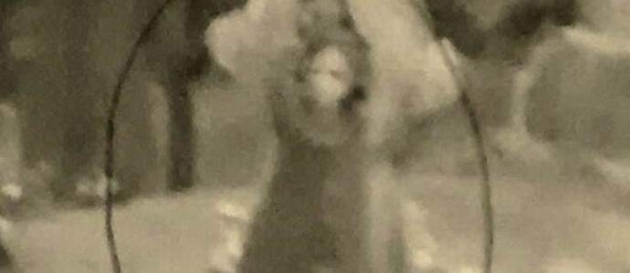 O médium fotografou o fantasma de uma bruxa em um cemitério