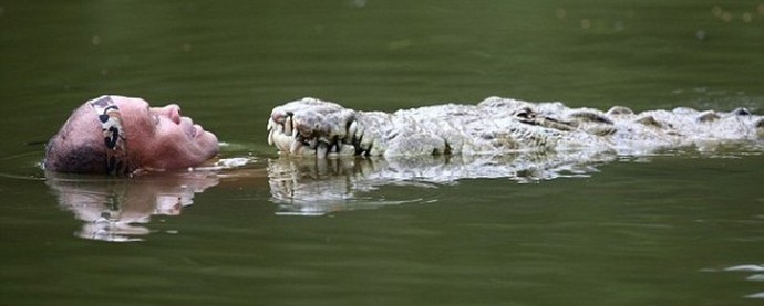 Amizade fantástica de homem e crocodilo