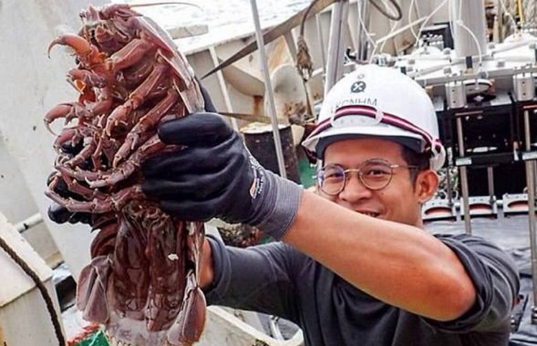 Uma barata gigante subaquática encontrada no fundo do oceano