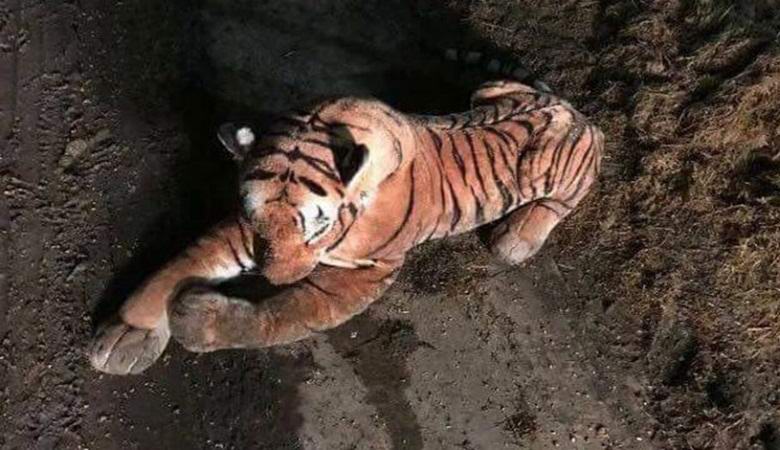Tigre de brinquedo assustou a polícia britânica