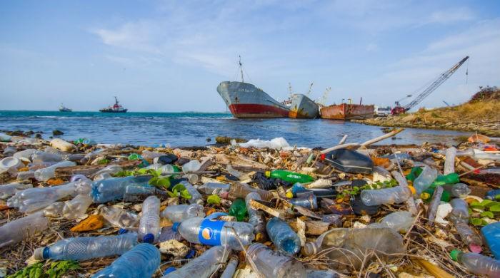 Informações para entusiastas de lixo, comendo frutos do mar
