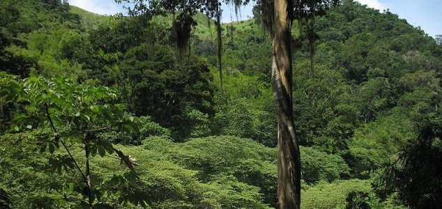 Pesquisadores descobriram uma antiga cidade perdida na selva de Honduras