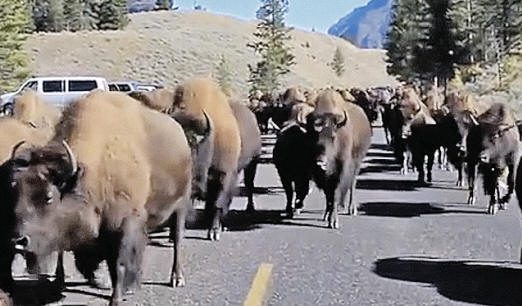 O super vulcão de Yellowstone prepara a terra para Marte?