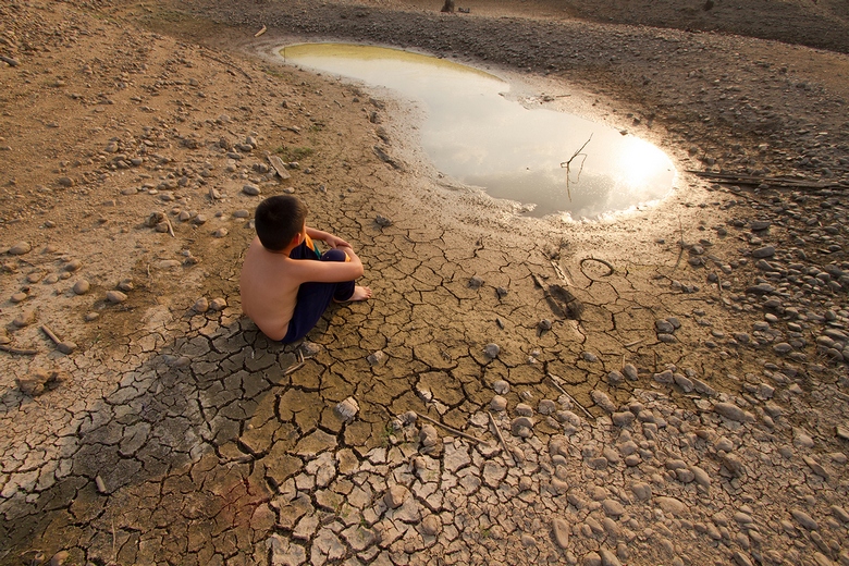 Até 2030, a humanidade enfrentará uma fome massiva