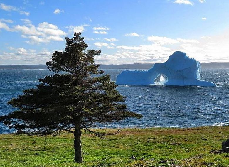 O iceberg mais incomum navegou para as margens do Canadá