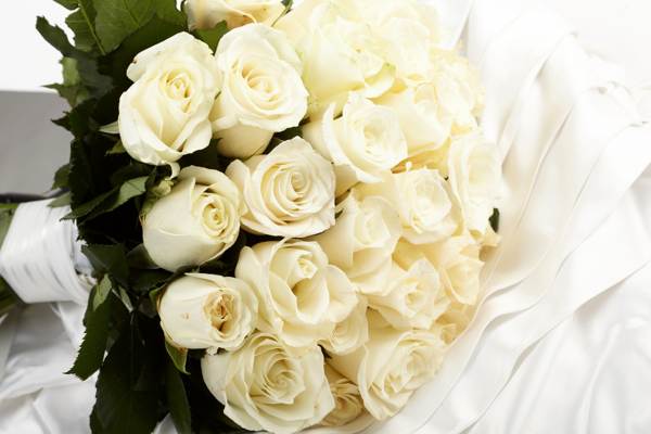 rosas brancas significando 