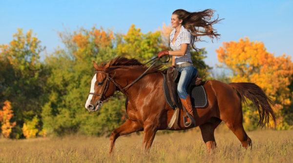 Por que sonhar em andar a cavalo 