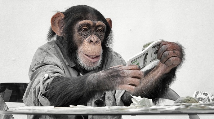 Como foi feito dinheiro com um macaco humano