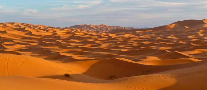 Como o deserto do Saara está relacionado às florestas da Amazônia