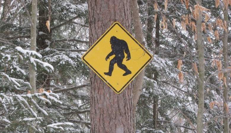 Os canadenses encontraram um humanóide na floresta noturna