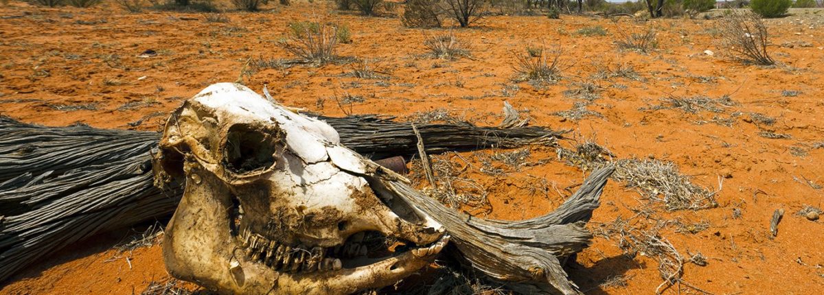 Cientistas canadenses: a humanidade morrerá em 700 anos 