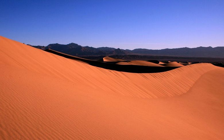 Desertos chineses estão se transformando em terras férteis