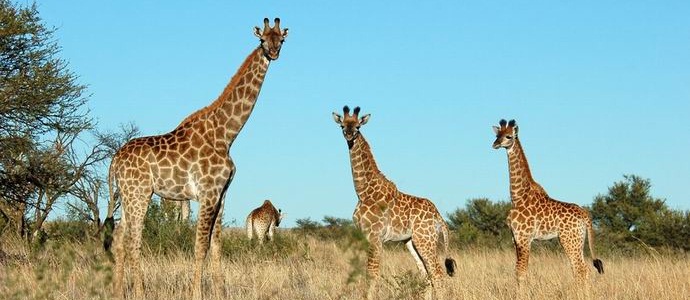 O clima da África está mudando rapidamente