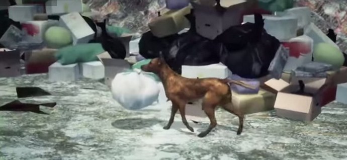 Quando os cães são mais decentes do que algumas mães