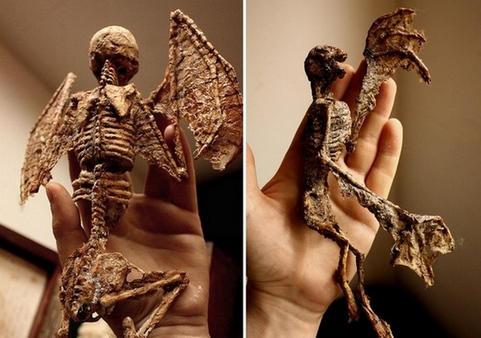 A coleção de criptas misteriosas de Thomas Merlin