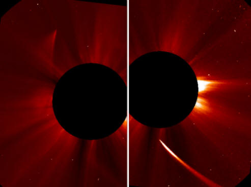 ISON Cometa Phoenix renasce das cinzas