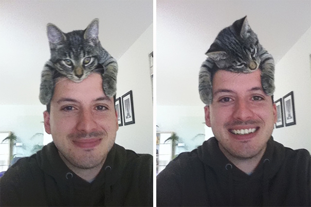 Gatos em chapéus!