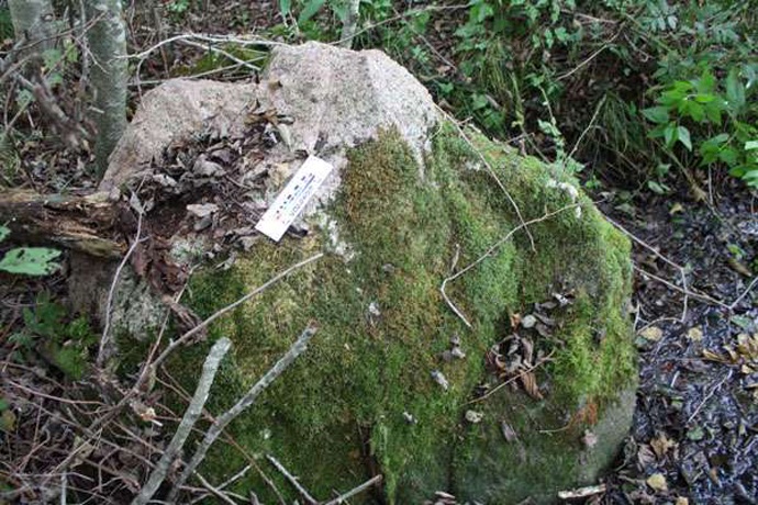 Gritar e mover pedras na floresta da Bielorrússia