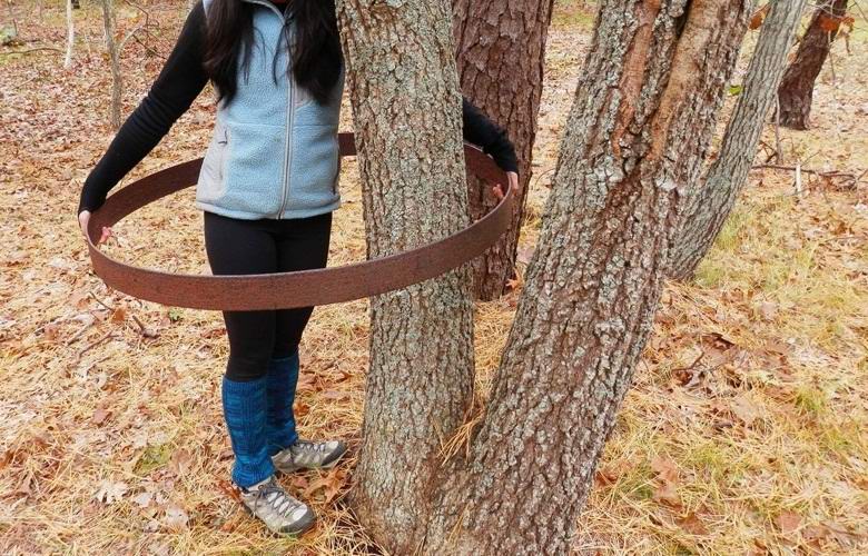 Alguém colocou um anel de metal misterioso em uma árvore em Indiana.