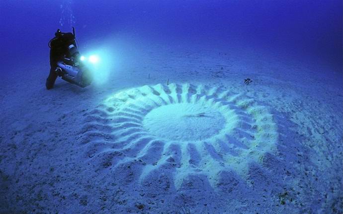 Quem deixa os círculos misteriosos no fundo do oceano?