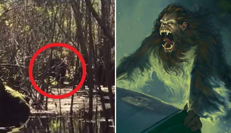 O lendário macaco gambá fotografado nos pântanos da Flórida