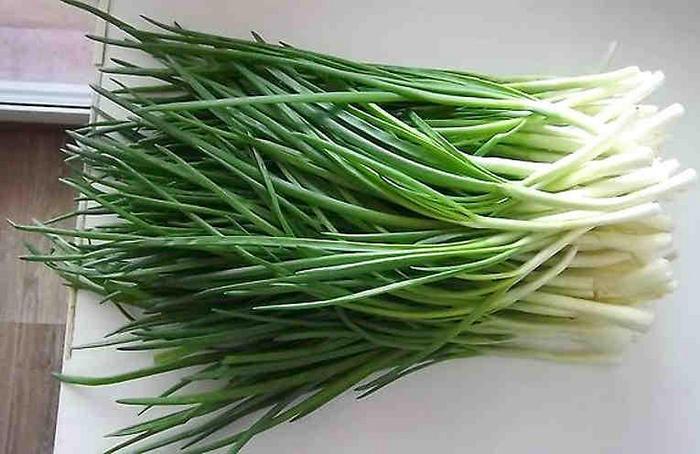 Uma maneira fácil e eficaz de cultivar cebolinha em um apartamento
