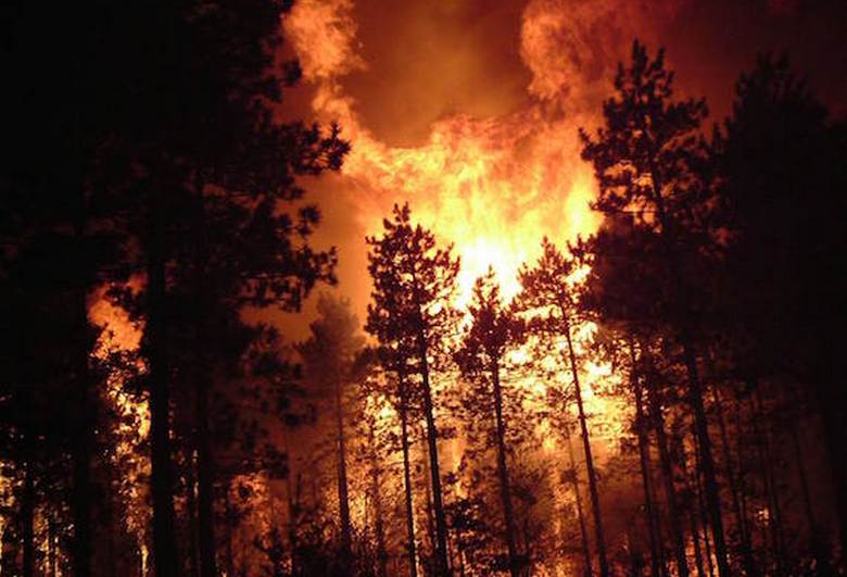 Incêndios florestais à beira do misticismo