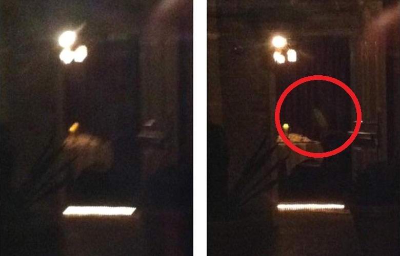 Pequeno fantasma fotografado em Nova Orleans