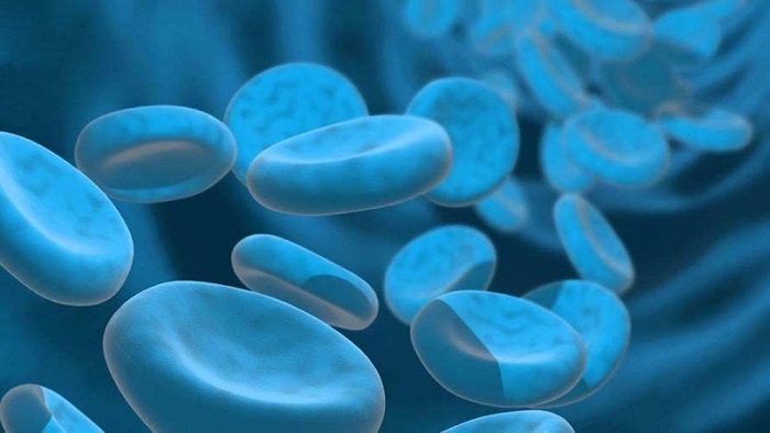 Os médicos descobriram por que o americano saiu da veia do sangue azul