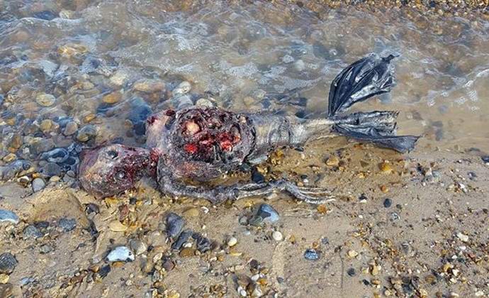 Cadáver podre de uma sereia jogado em uma praia britânica