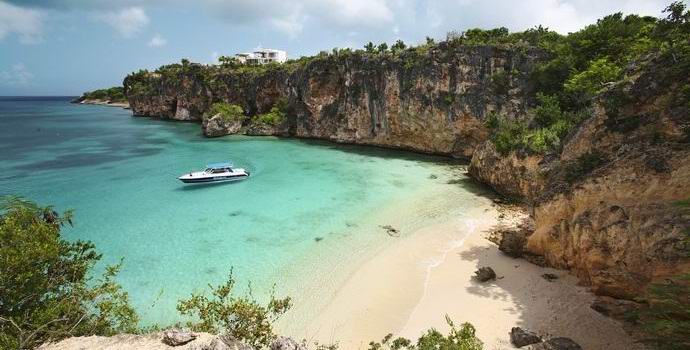 Uma incrível criatura marinha capturada no Caribe