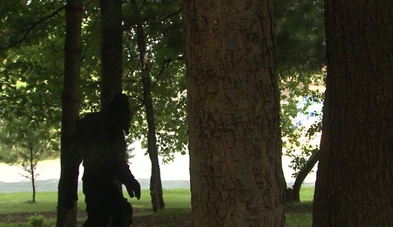 Em vídeo: pé grande atravessa a floresta