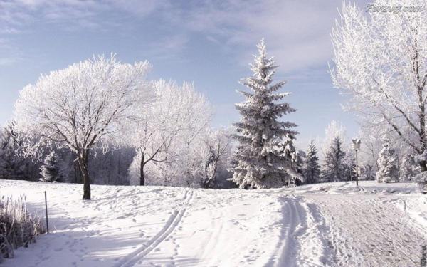  alfândega em 1 de dezembro 