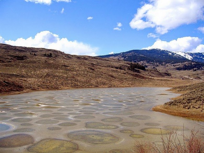 Lago manchado incomum Kliluk