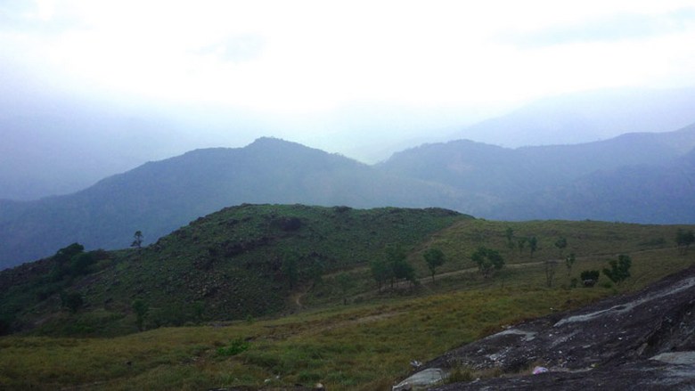 Criatura incomum do Monte St. Helens - Skookum