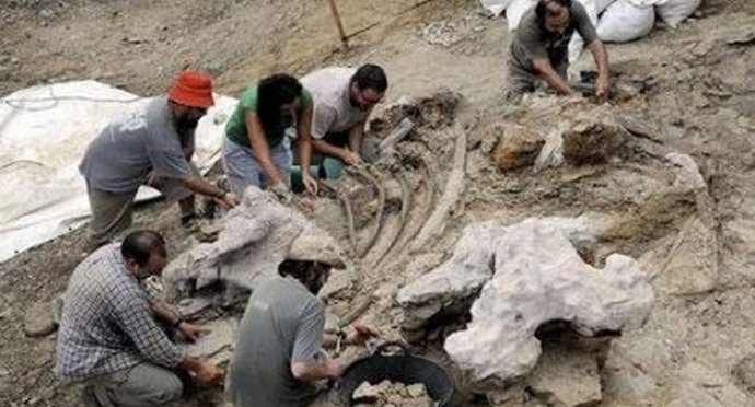 Sobre escorpiões gigantes e descobertas estranhas de cientistas americanos