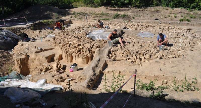 Surpreendente estrutura redonda feita de ossos de mamute descoberta 