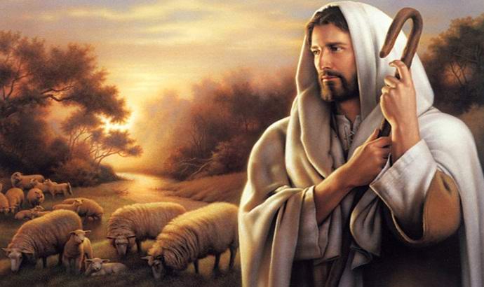 A imagem de Cristo foi notada no tronco de uma árvore derrubada