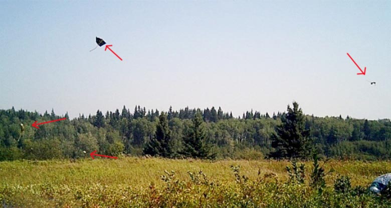 Uma câmera de caça no Canadá captura criaturas estranhas.